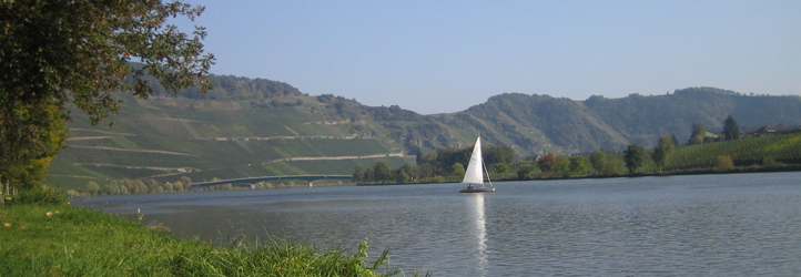 Mosel-Radweg
